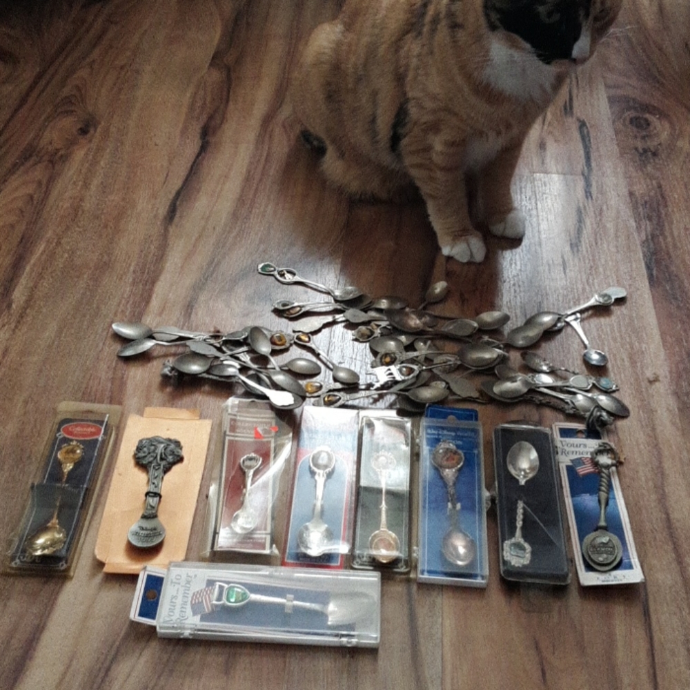 Collector Spoons All Different States